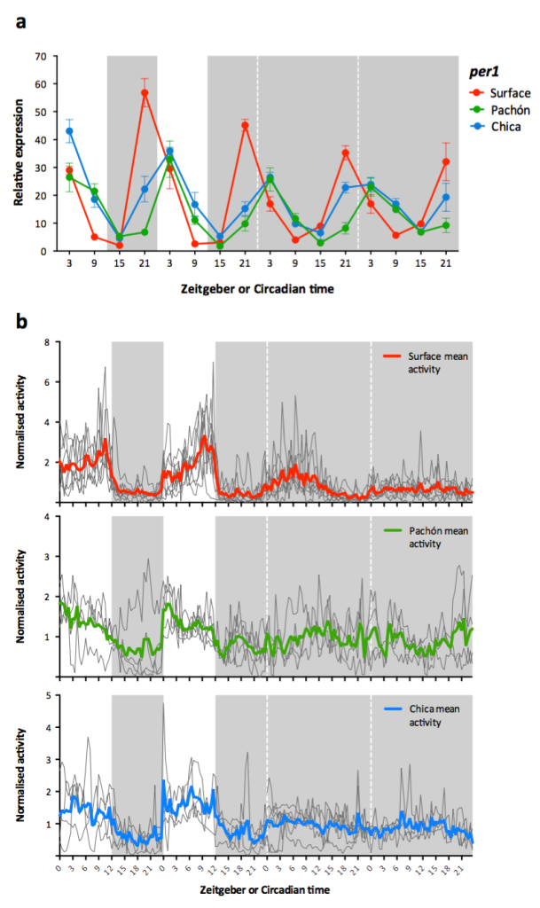 Paper Fig1 - behaviour traces greys